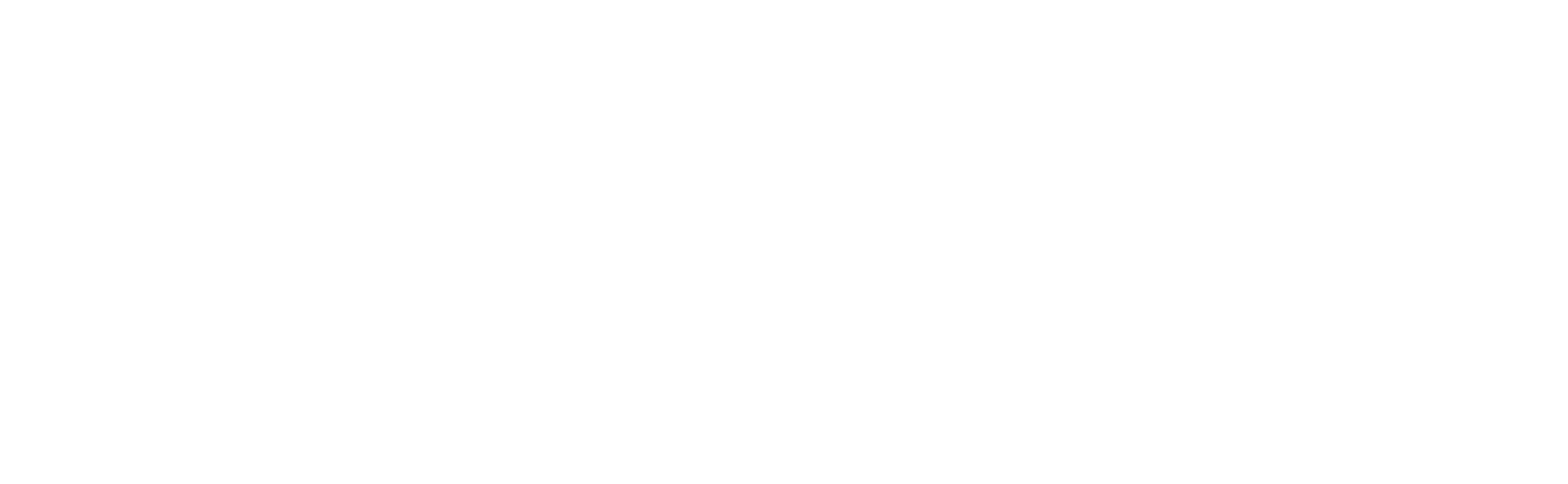 Invest Chiapas